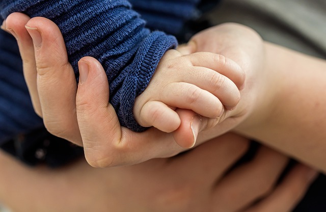 Child Support Laws in Nevada