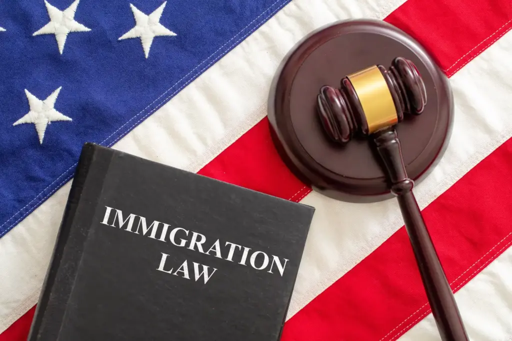 Inmigration law